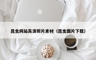 莱州昆虫网站高清照片素材（昆虫图片下载）